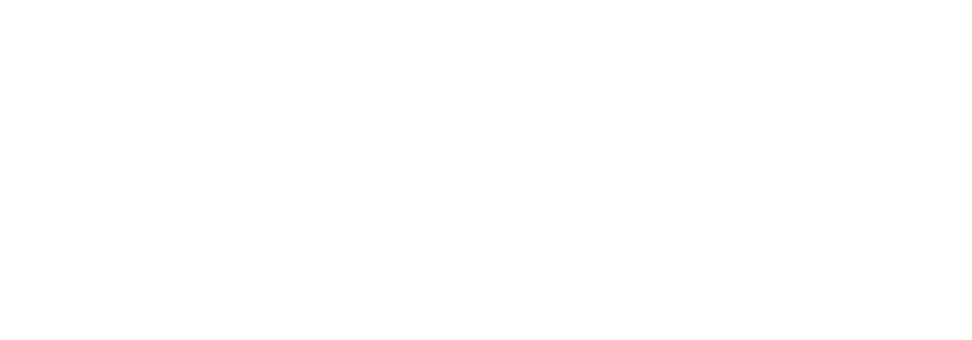 logo birou_Pro_white-01